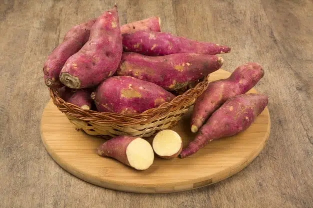 Batata Doce e Vegetais na Nutrição Canina