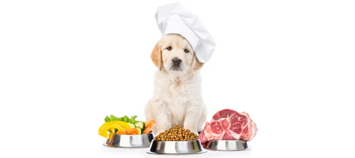 Alimentação Saudável e Inteligente