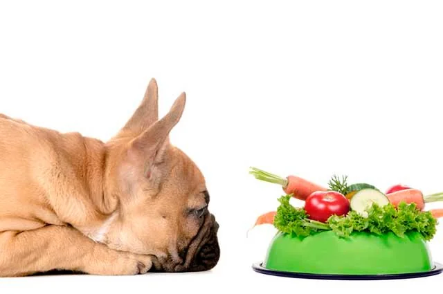 Batata Doce e Vegetais na Nutrição Canina