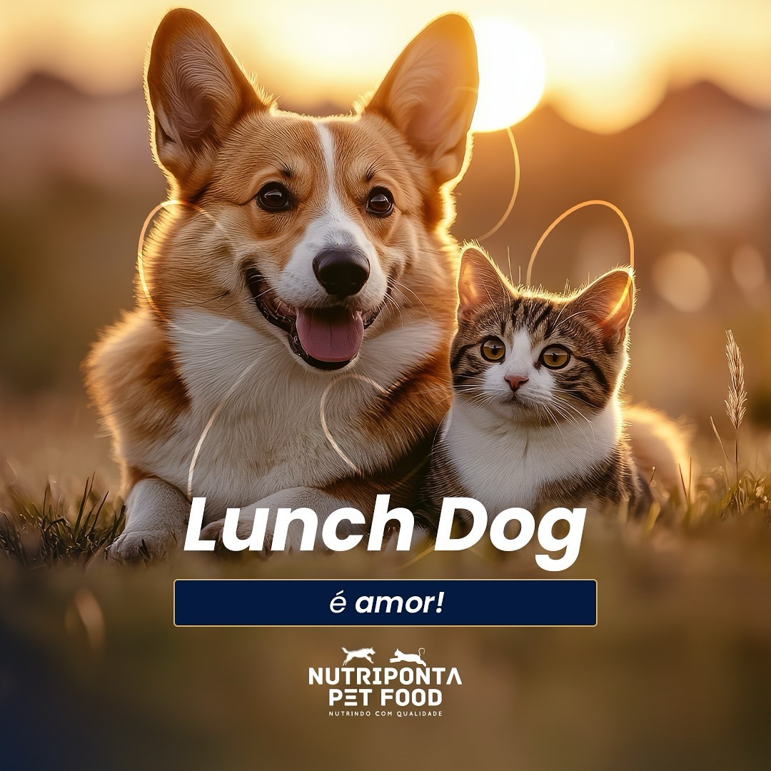 Cachorro e gato comendo ração saudável